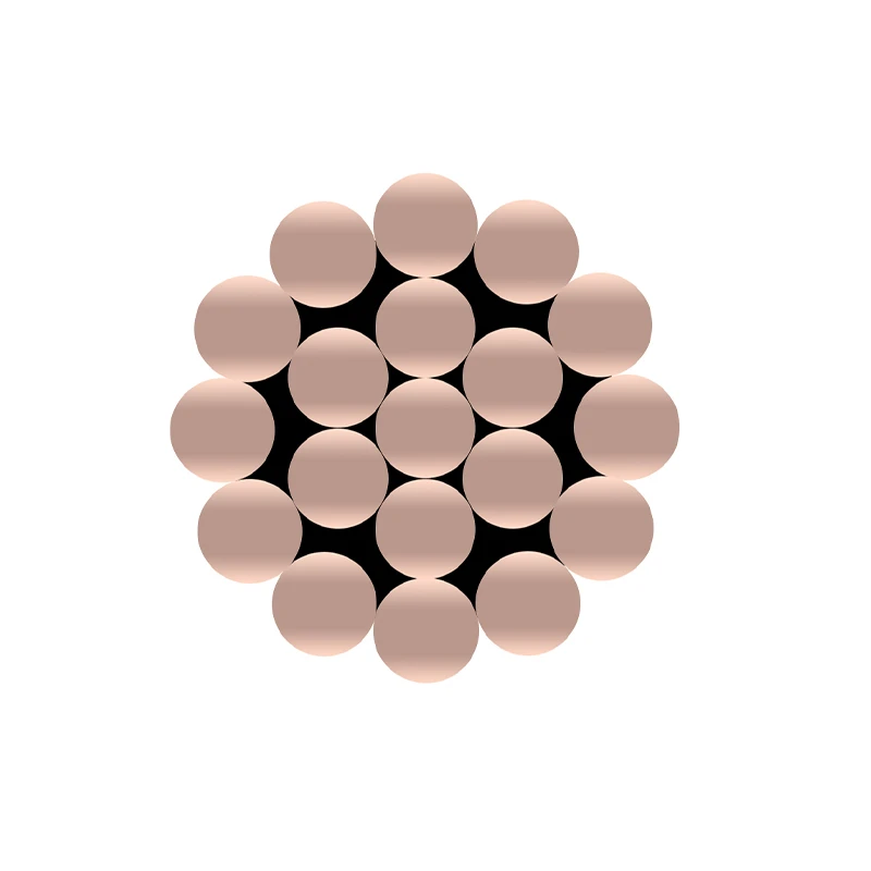 BCC Bare Copper Conductor (Bare Copper Conductor)