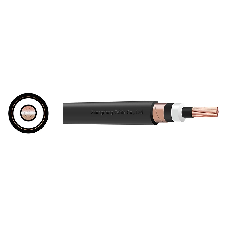CU/XLPE/CTS/PVC Single Core Power Cable 6/10kV